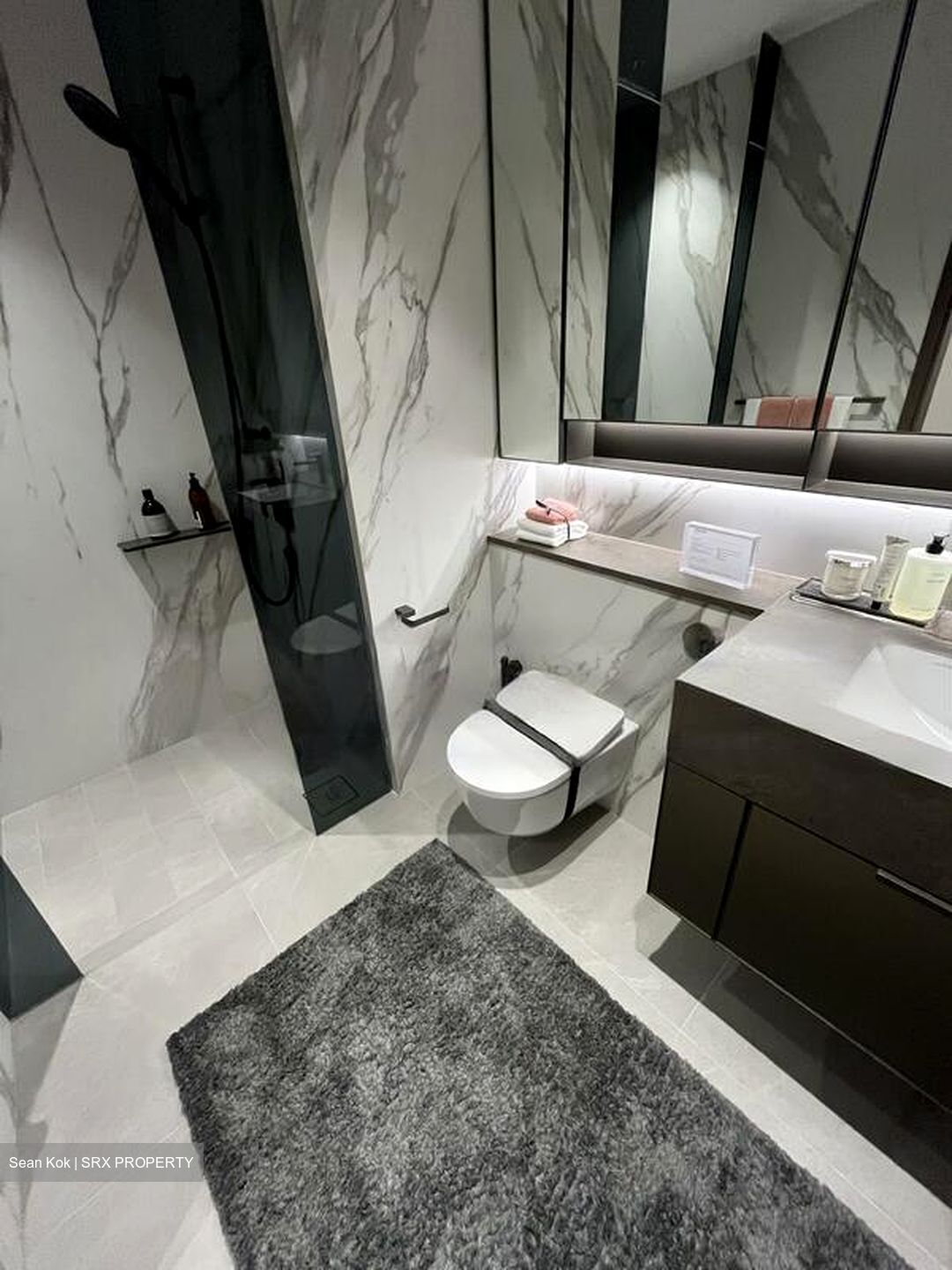 Zion Road (D3), Condominium #487724551